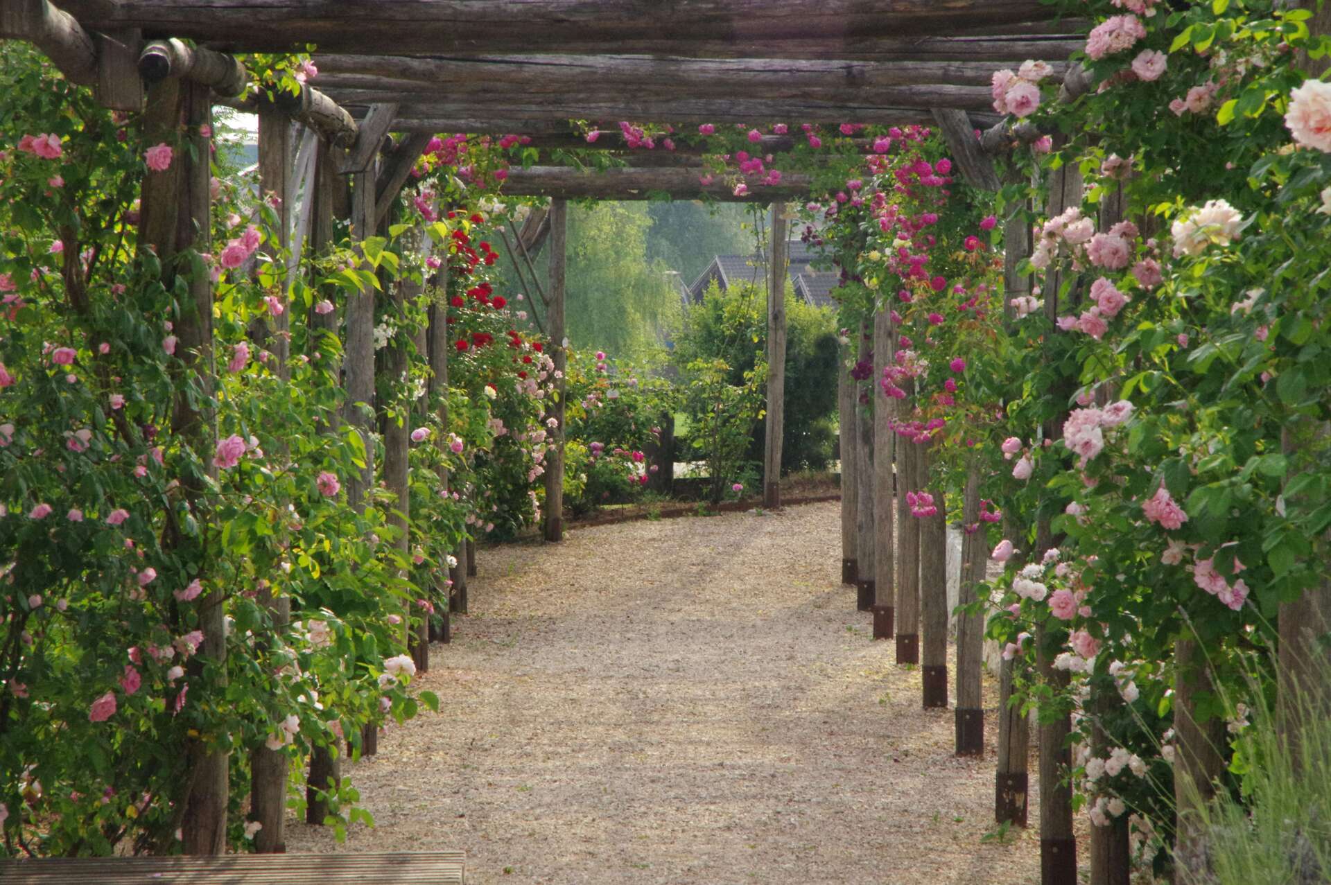 Giardino della Rosa Fabrizio Fronza