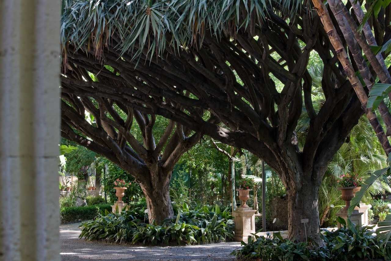 Orto Botanico di Catania Dario Fusaro