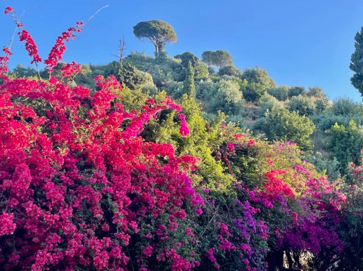 Giardini Victoria Vittoria Alliata di Villafranca