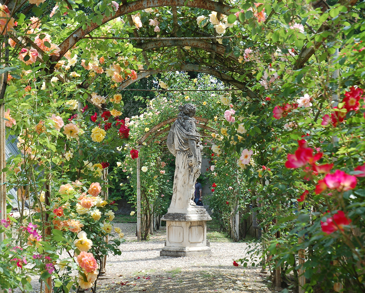 Orto Botanico di Pavia, Courtesy Universit� degli Studi di Pavia