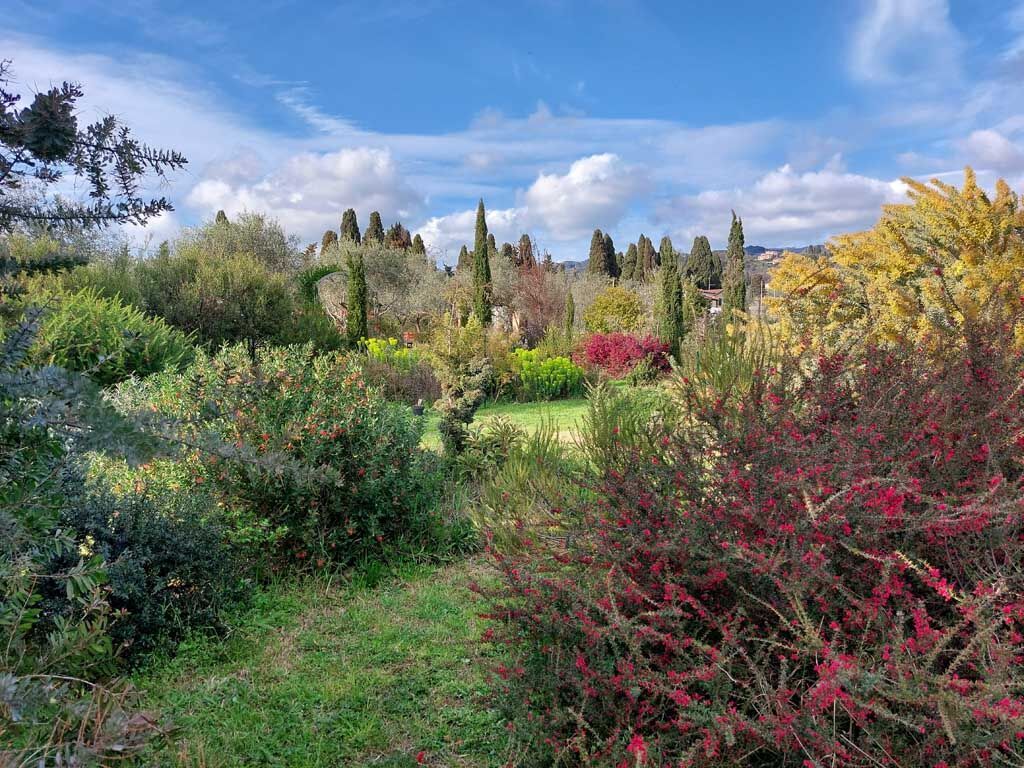Orto Botanico di Pavia, Courtesy Universit� degli Studi di Pavia
