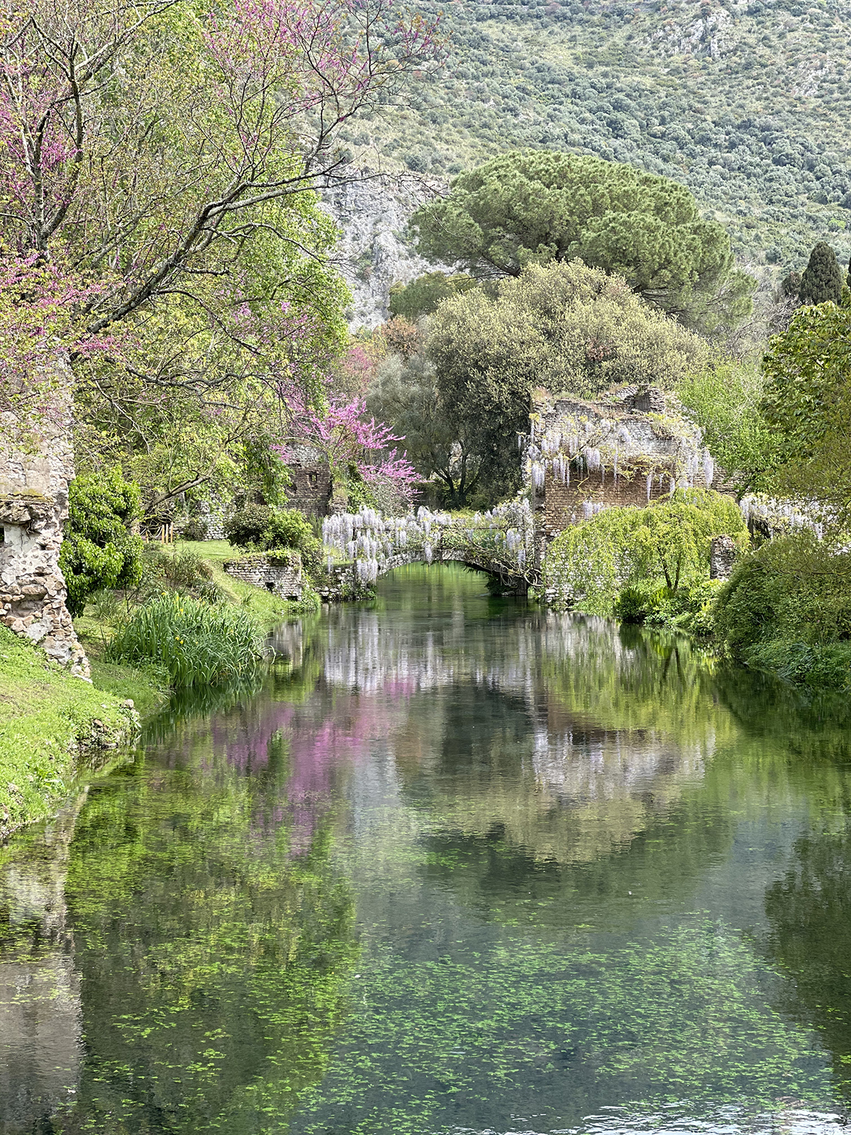 Giardini di Ninfa, Archivio Fondazione Roffredo Caetani
