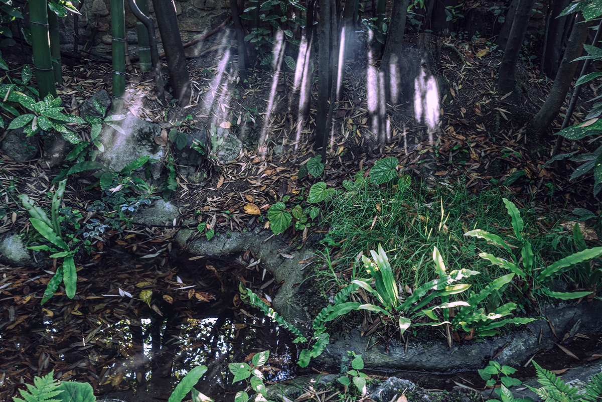 Giardino Botanico A. Heller, ph. Luca Locatelli