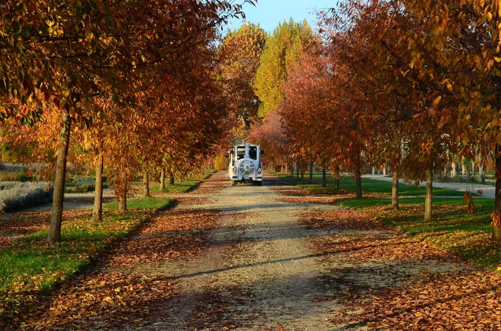 Giribuola Alessio, Giardini della Reggia di Venaria