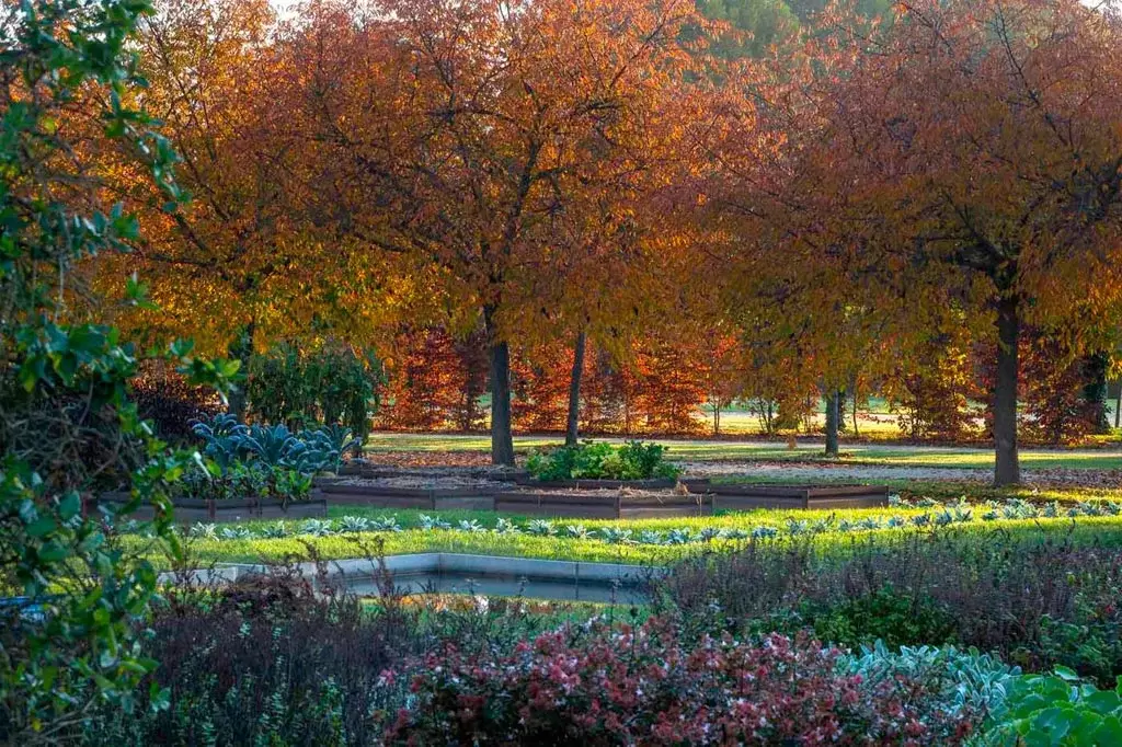 Dario Fusaro, Giardini della Reggia di Venaria