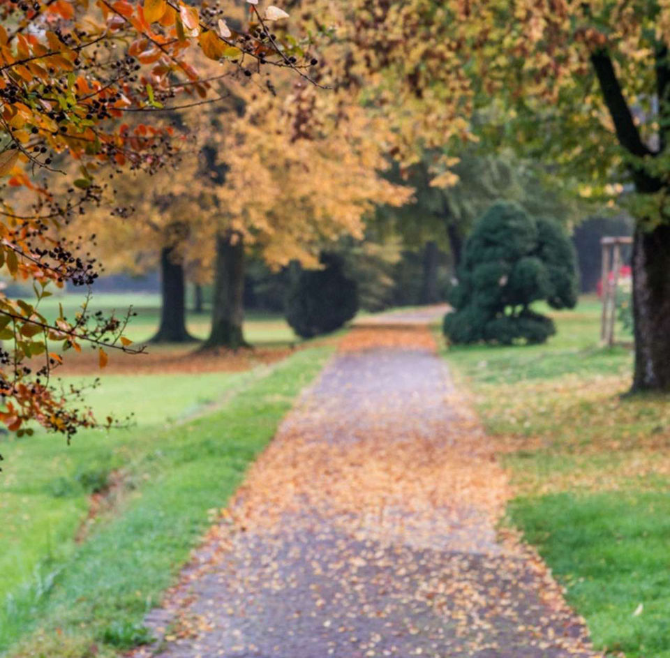 Autunno Al Parco Sigurta Grandi Giardini Italiani