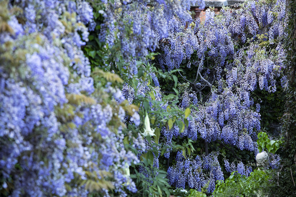 Giardini di Villa della Pergola, ph. Matteo Carassale