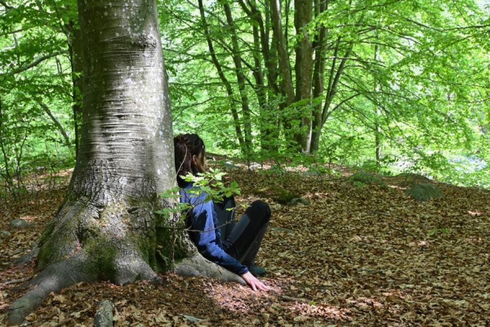 Forest Bathing in Oasi Zegna - Dal 29/4/2023 al 5/11/2023 | GRANDI ...