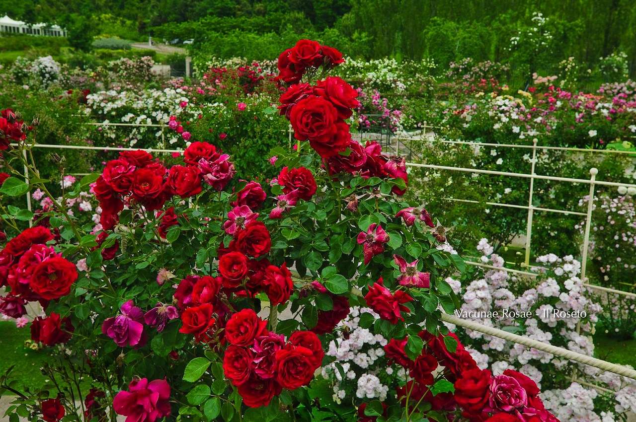 Grandi Giardini Italiani