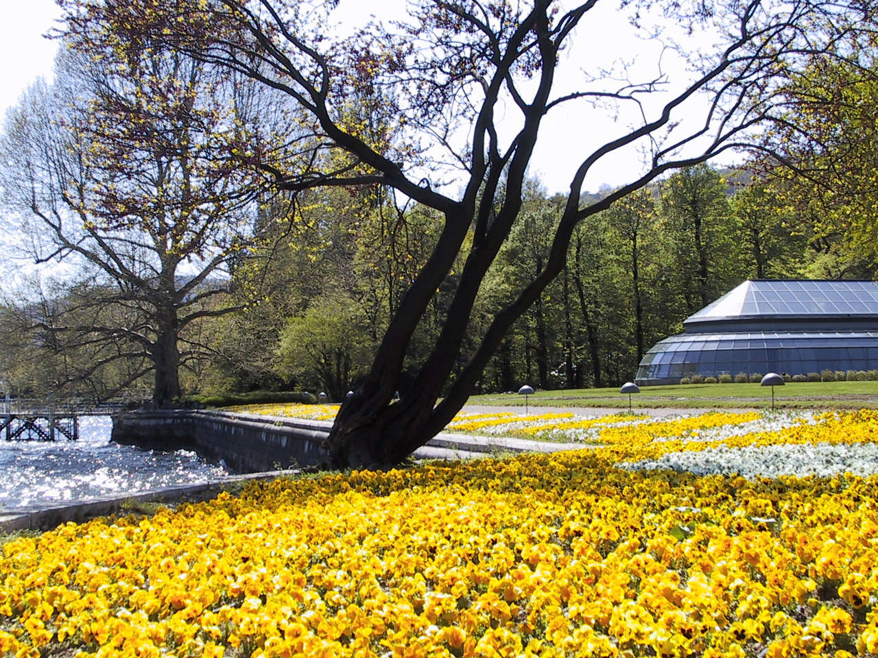Grandi Giardini Italiani