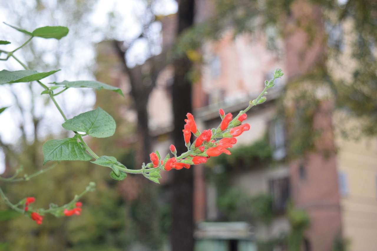Grandi Giardini Italiani