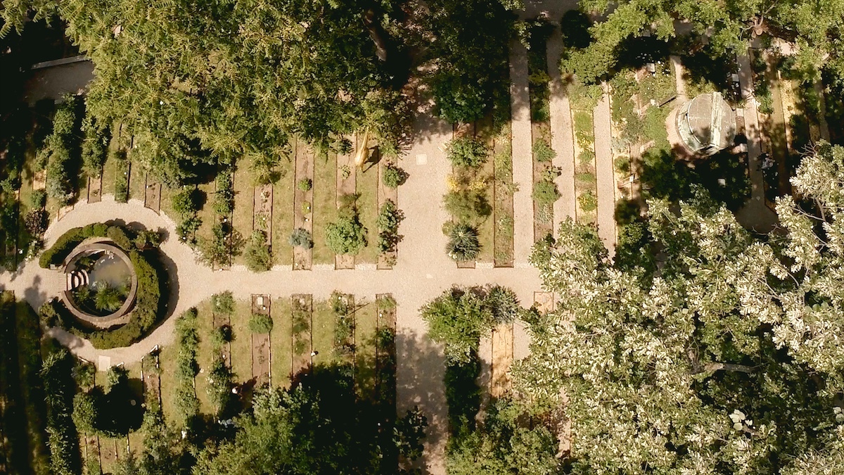 Courtesy Orto Botanico di Brera