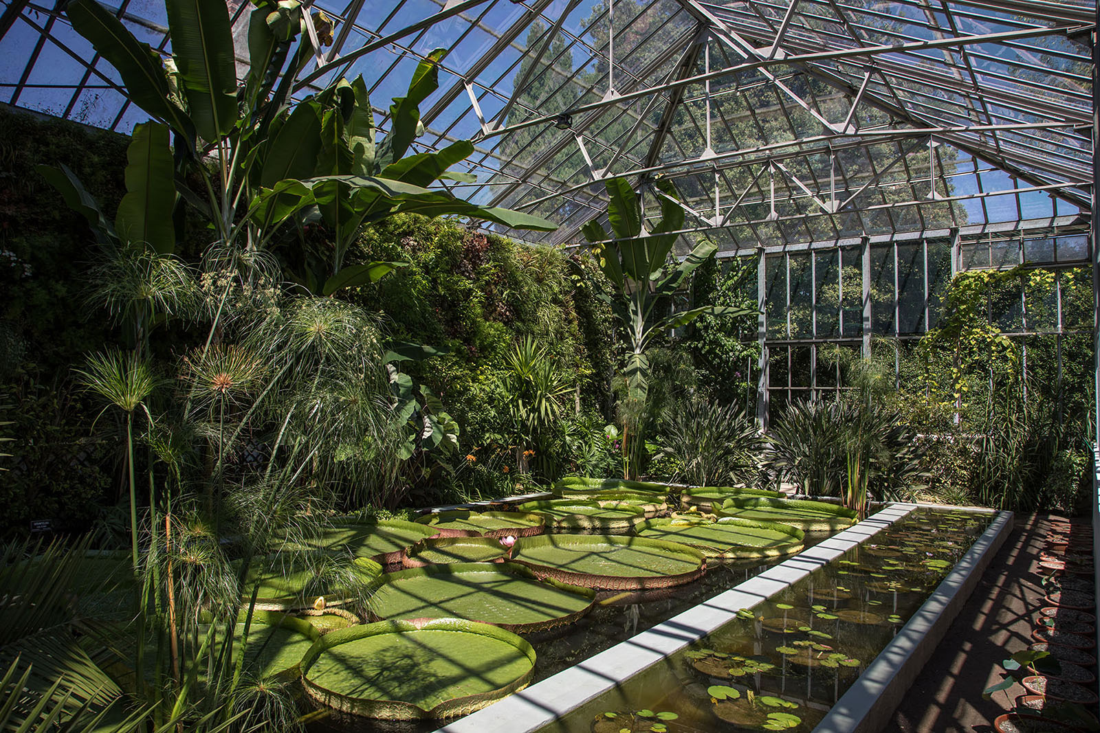 Giardini Botanici di Villa Taranto