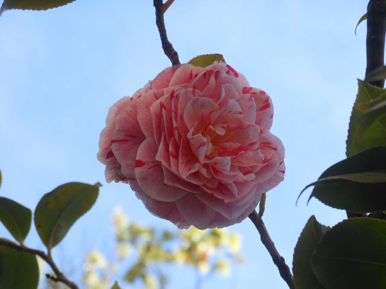 Grandi Giardini Italiani