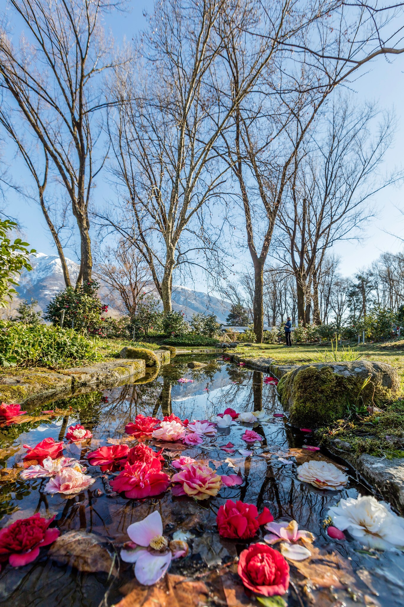 Gardens of Switzerland