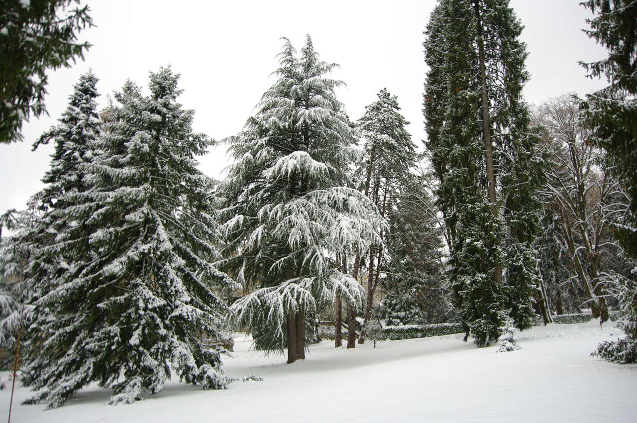 Grandi Giardini Italiani