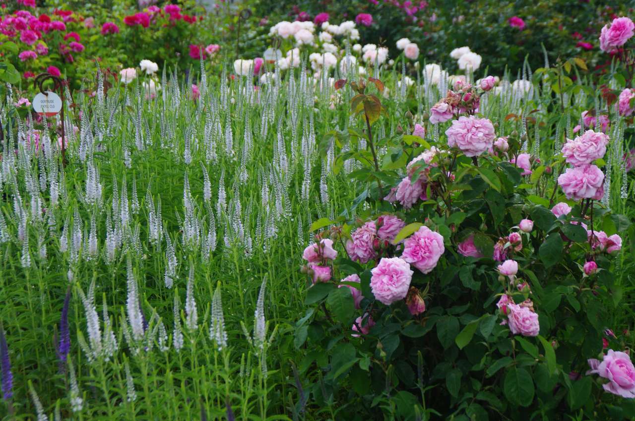 Grandi Giardini Italiani