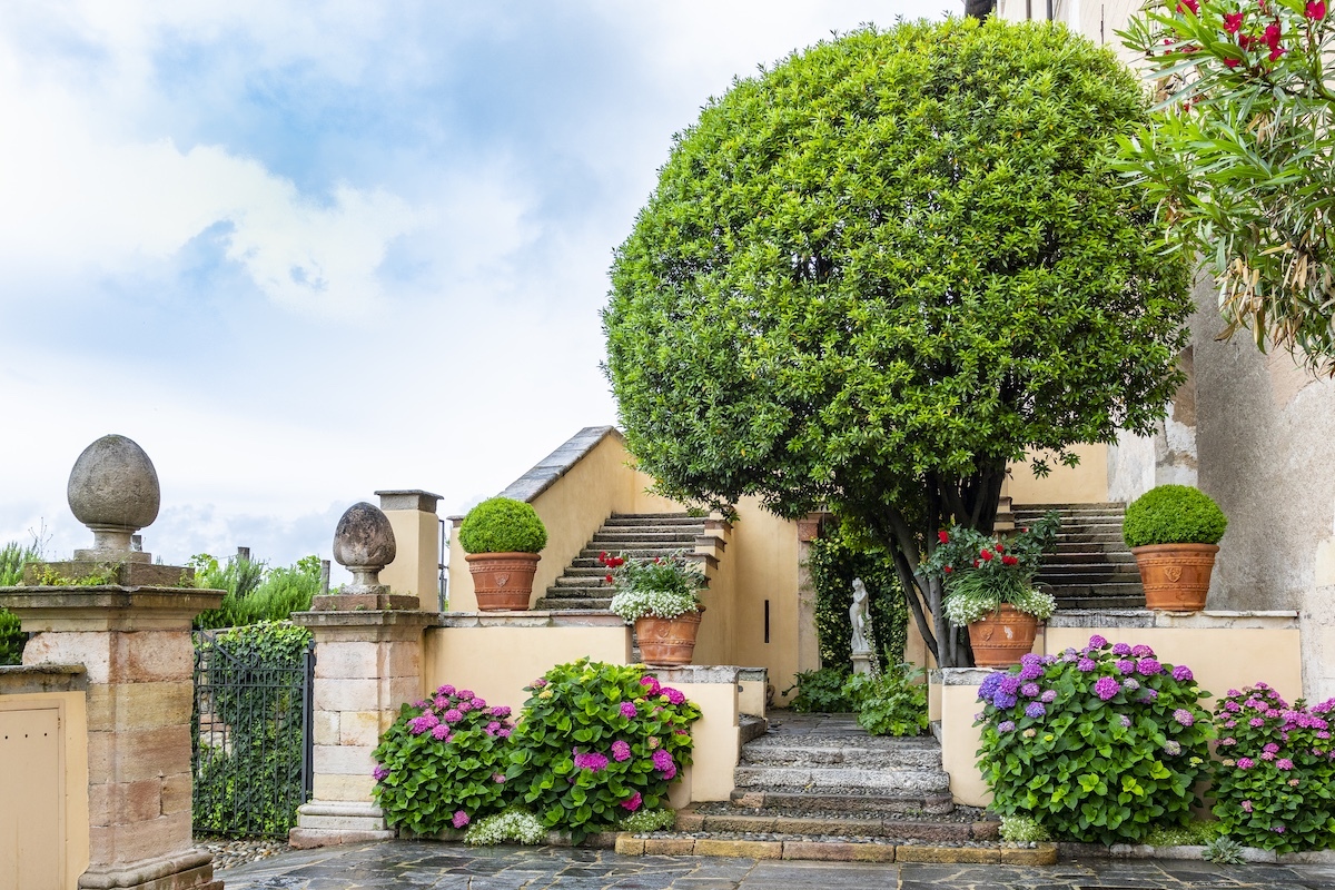 Courtesy Terre Borromeo