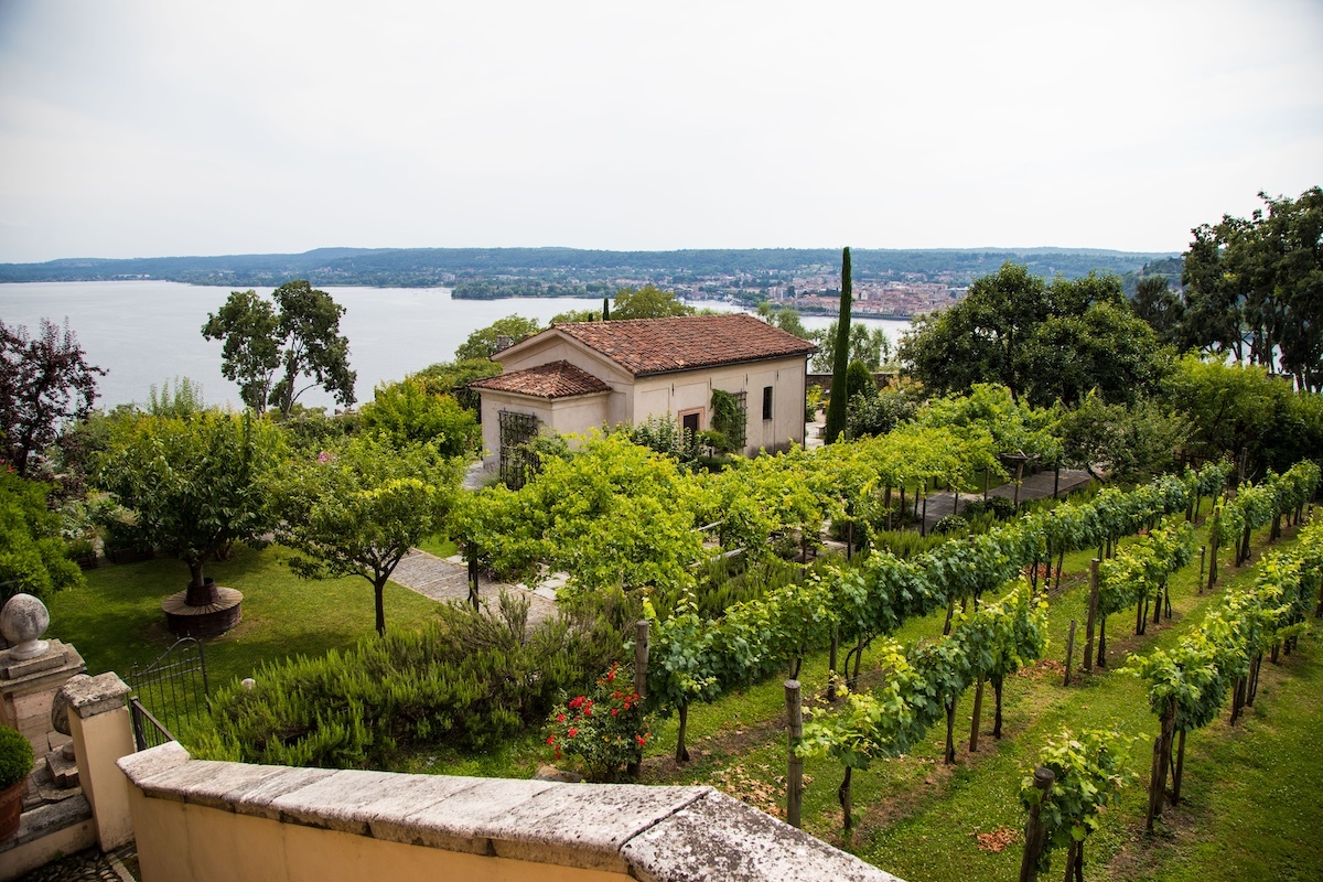 Courtesy Terre Borromeo