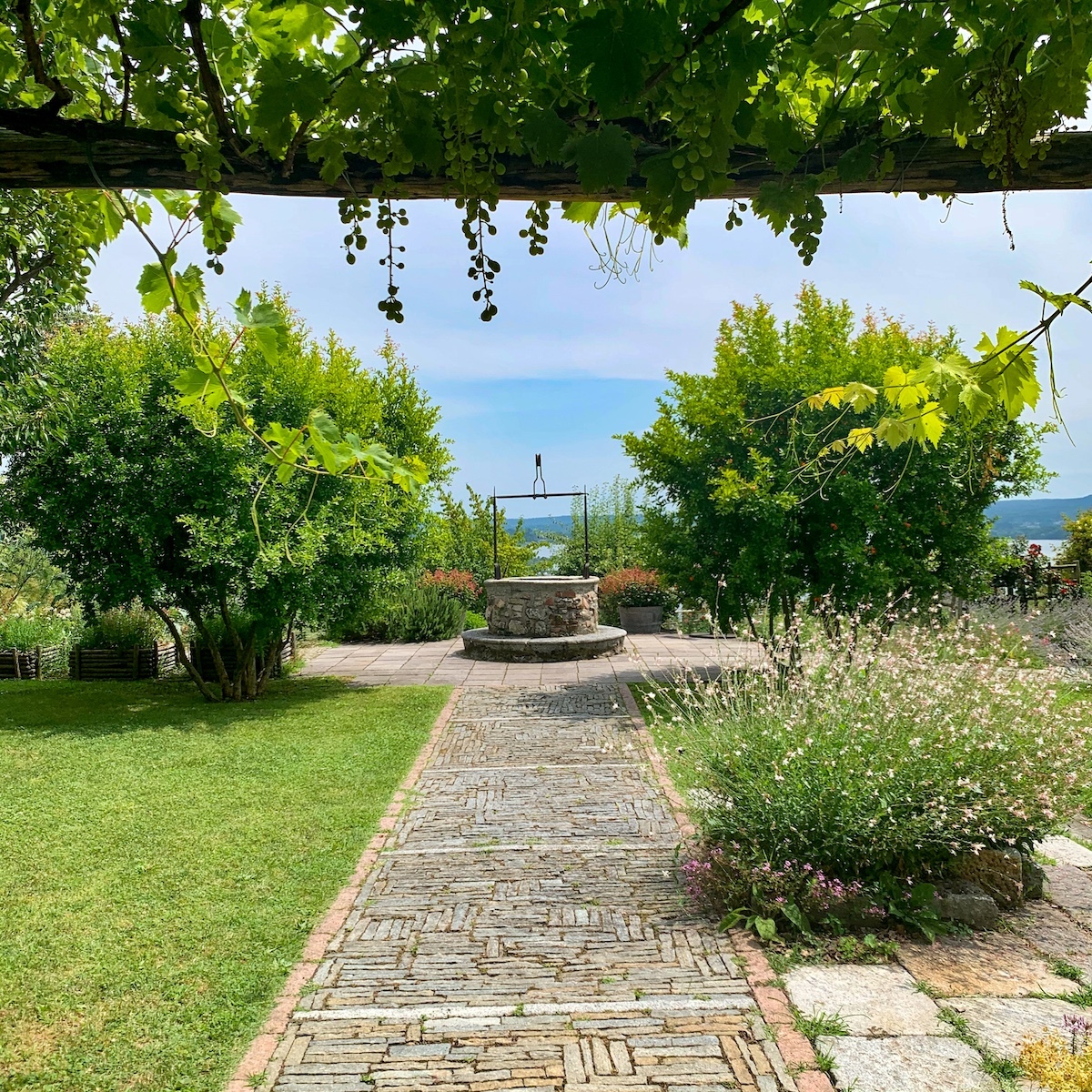 Courtesy Terre Borromeo