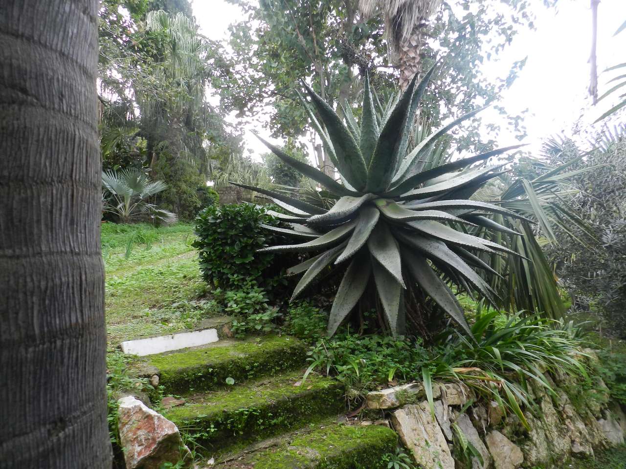 Grandi Giardini Italiani