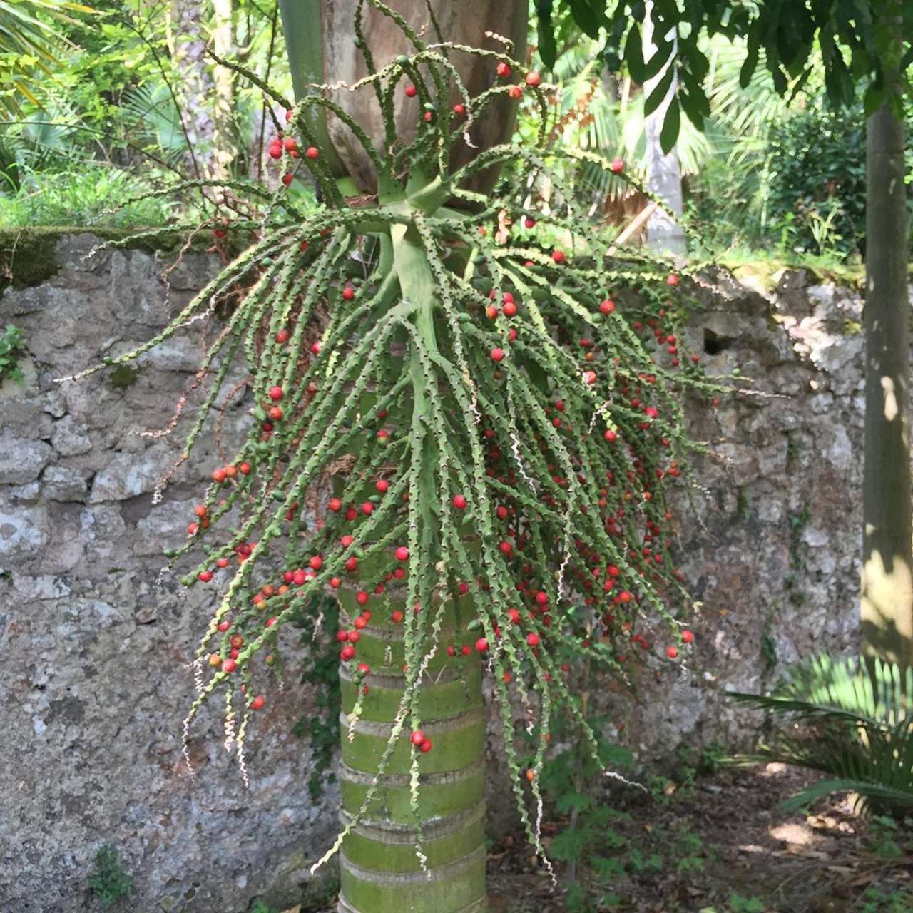 Grandi Giardini Italiani