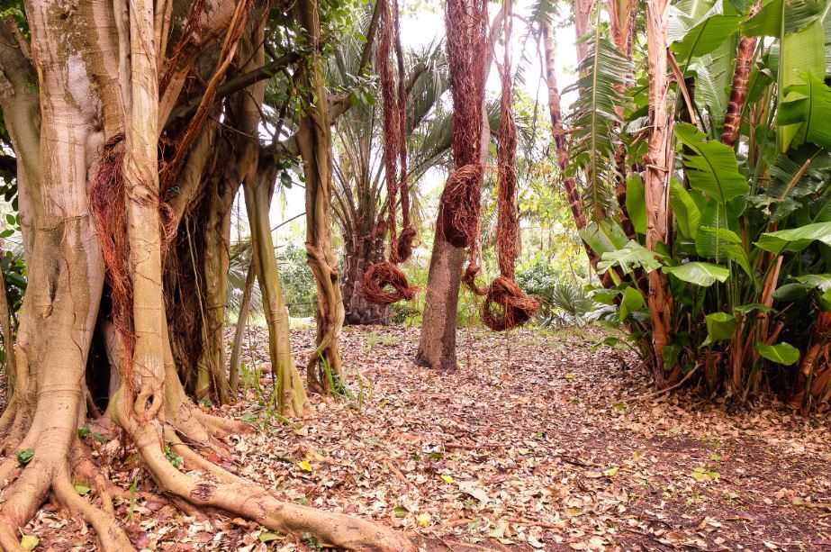 Fondazione Nicola del Roscio