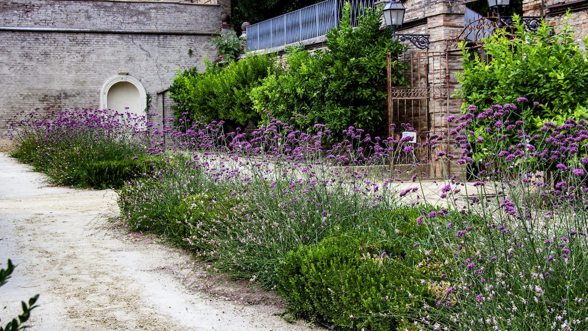 Courtesy della propriet�