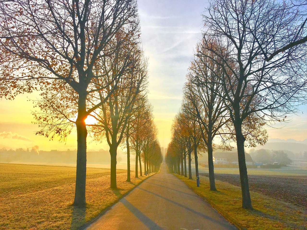 Gardens of Switzerland