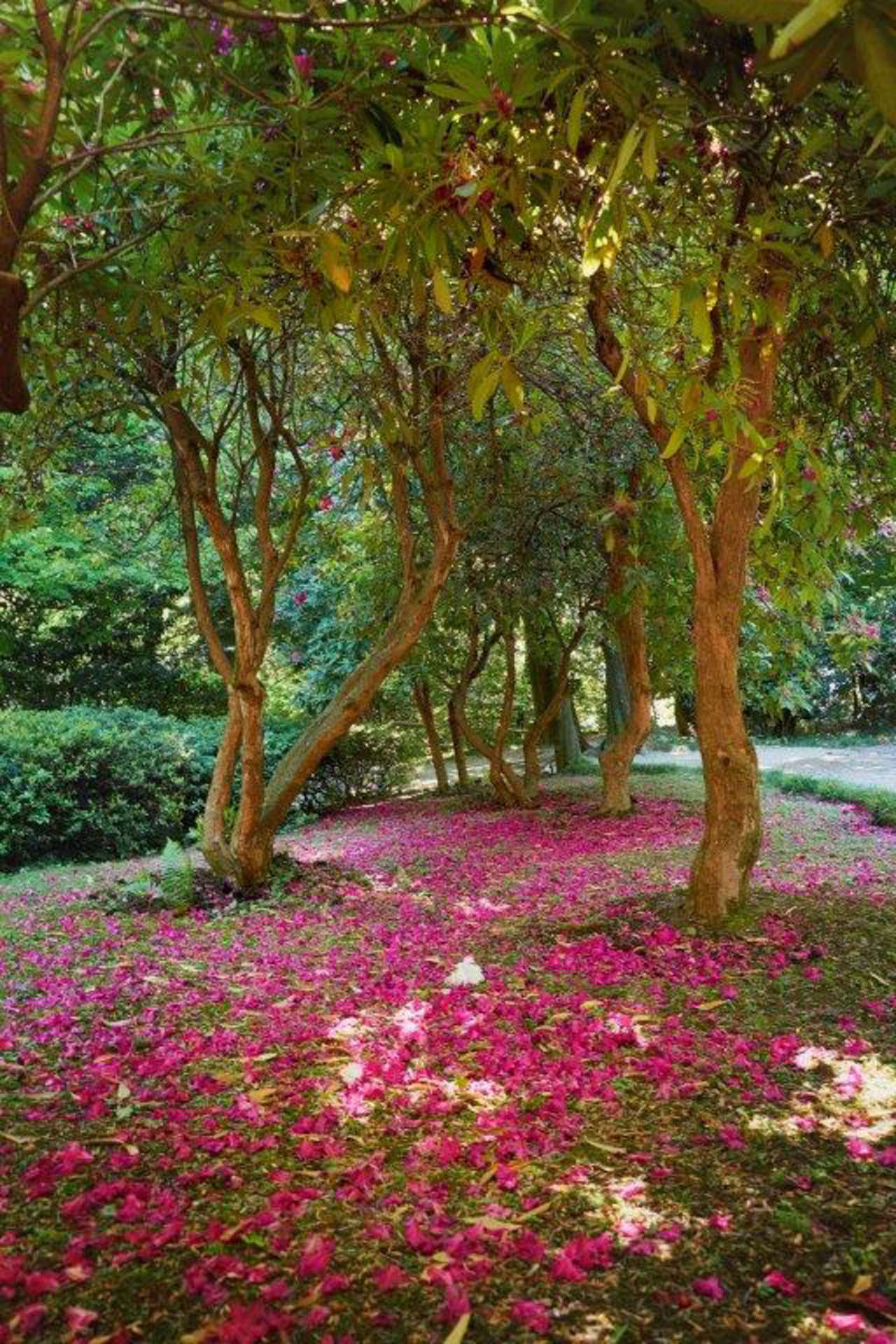 Grandi Giardini Italiani