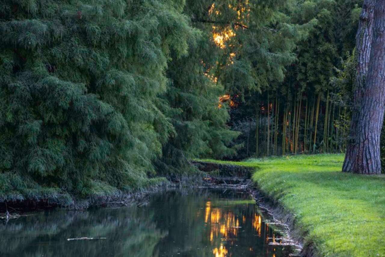 Dario Fusaro, Grandi Giardini Italiani