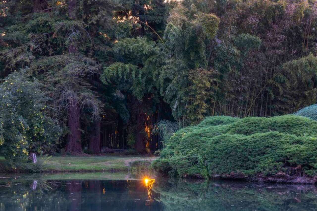 Dario Fusaro, Grandi Giardini Italiani