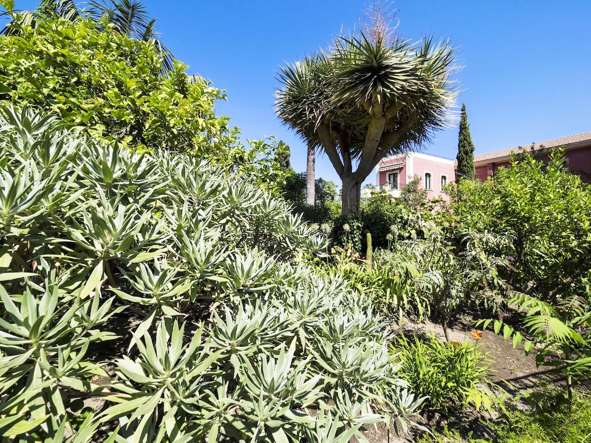 Courtesy Hotel Villa Schuler