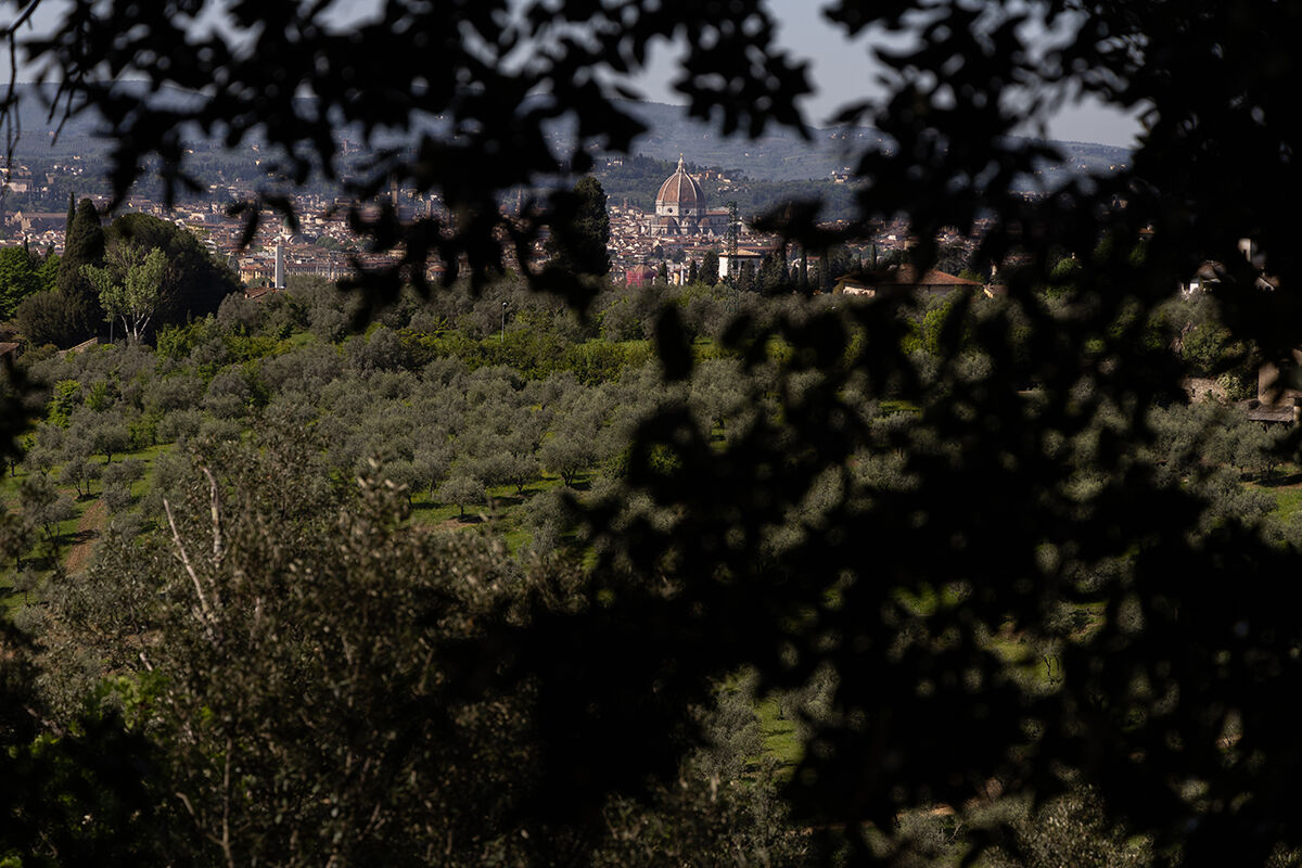 Archivio Grandi Giardini Italiani