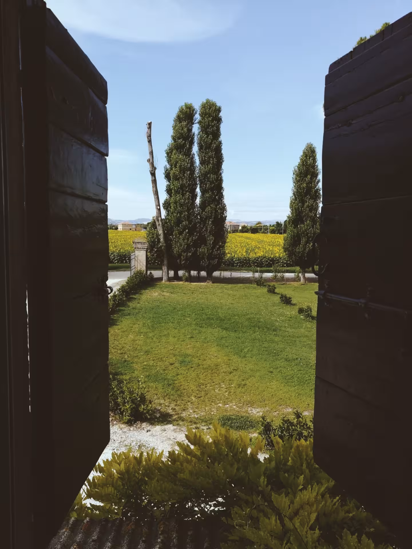 Archivio Magnolia Srl