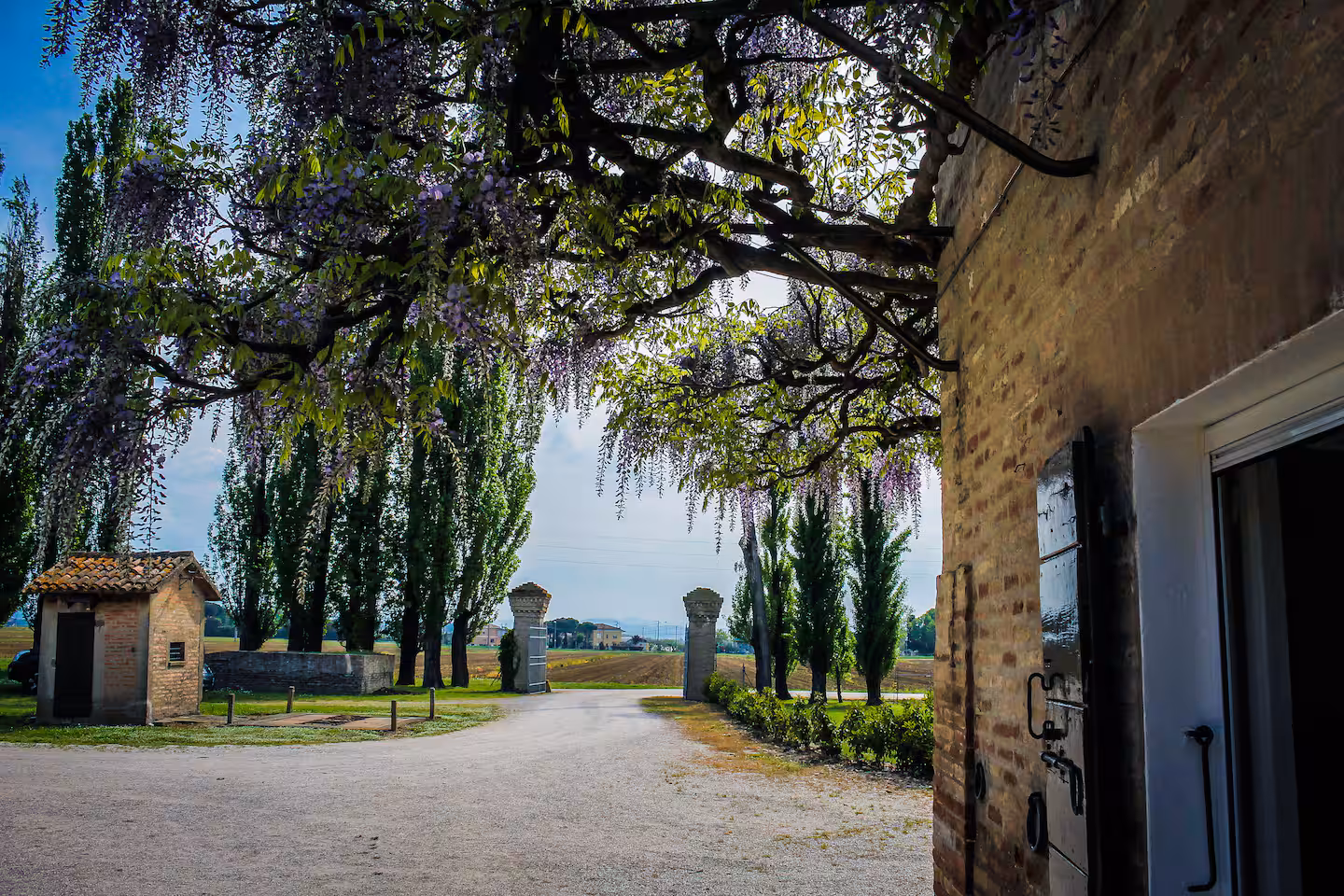 Archivio Magnolia Srl