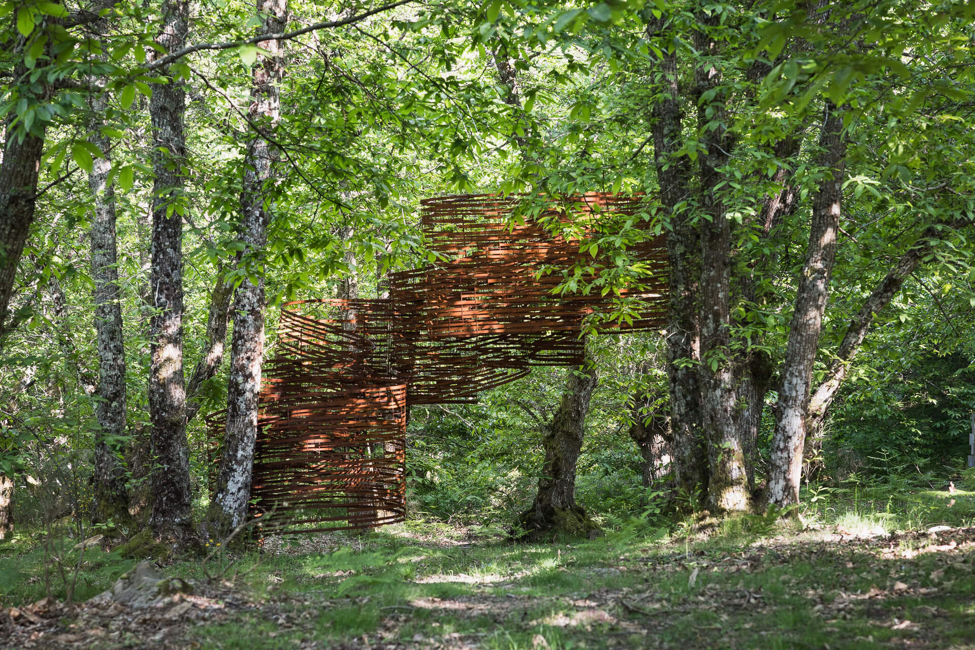 Kengo Kuma, Dynamo Pavillion_2025, Mattia Marasco