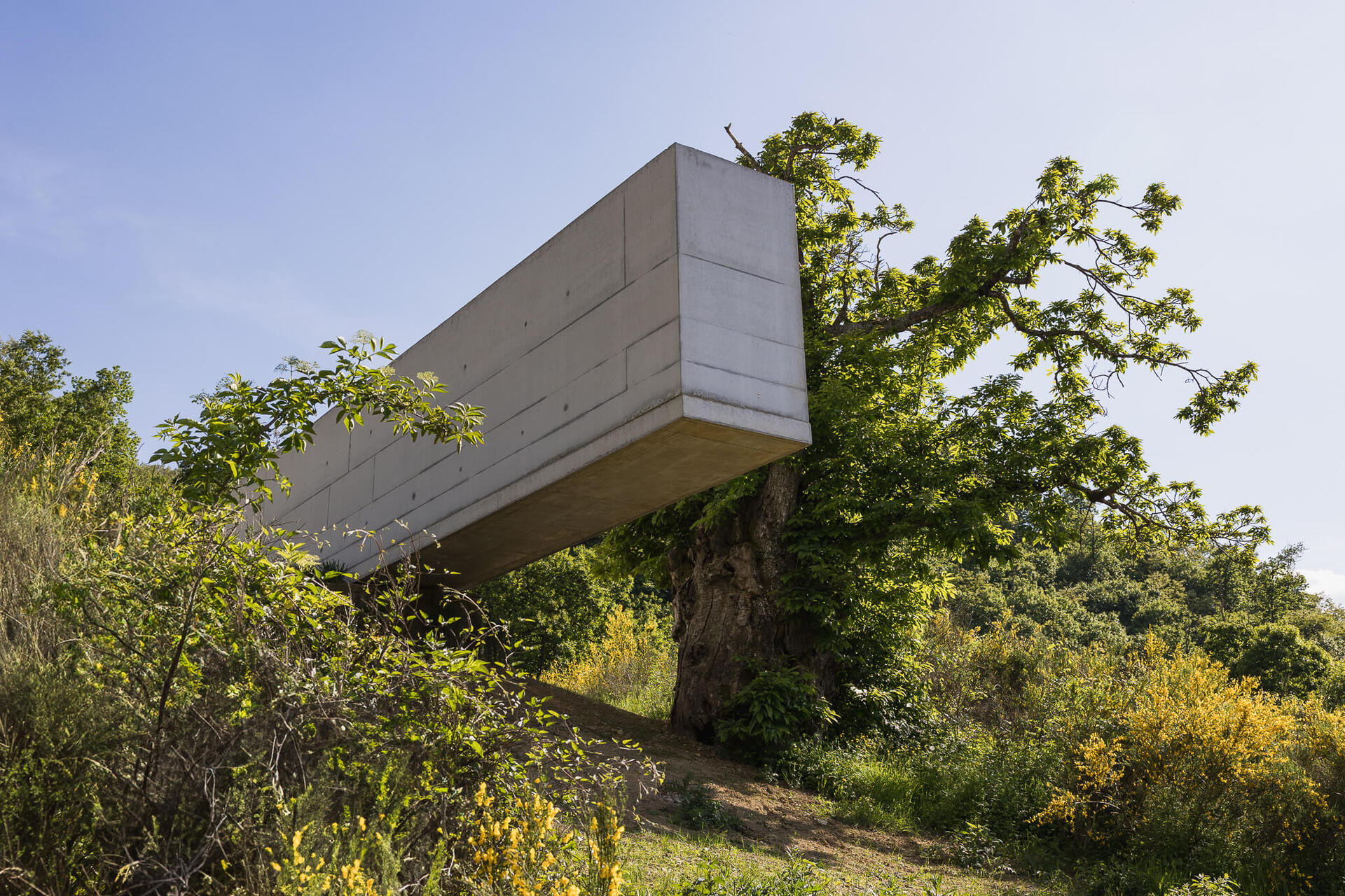Alejandro Aravena, Self regulation_2025