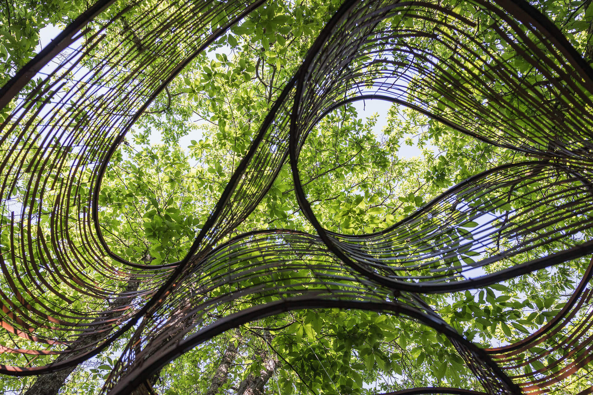 Kengo Kuma_Dynamo Pavillion_2025