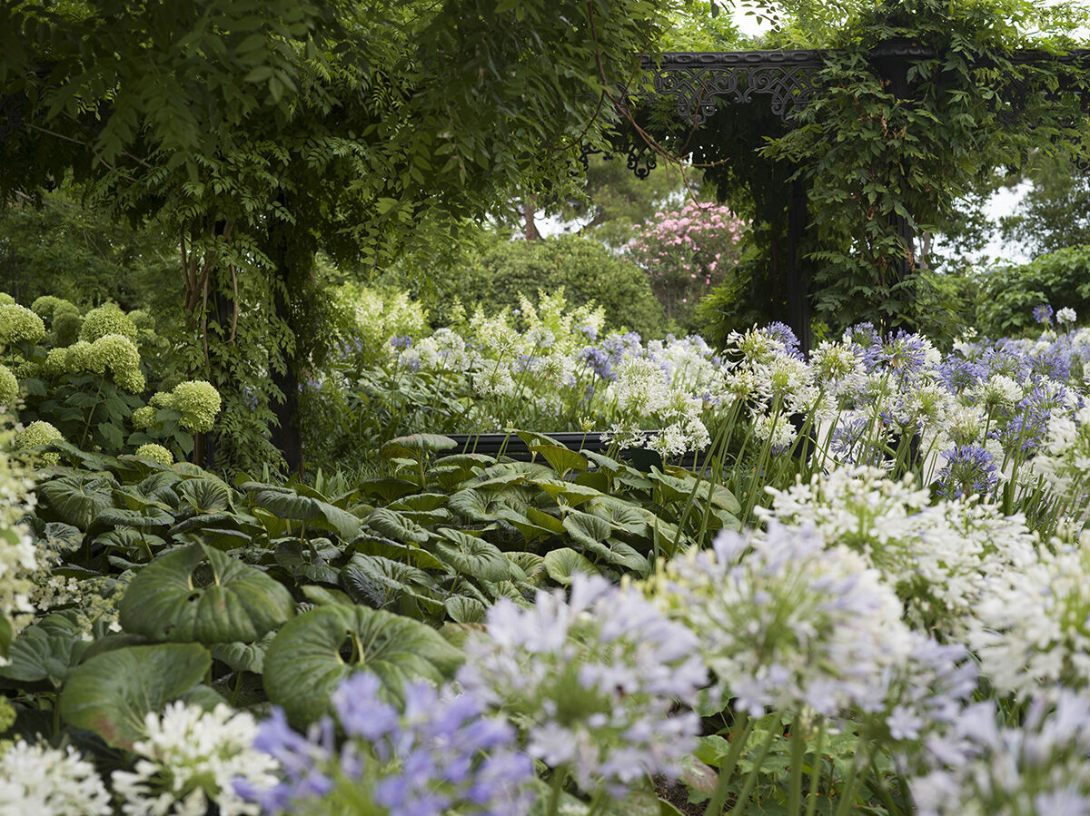 GROWMANIA Fish Mix di BioBizz 5L + Campione Boost Up | FindTheDeal