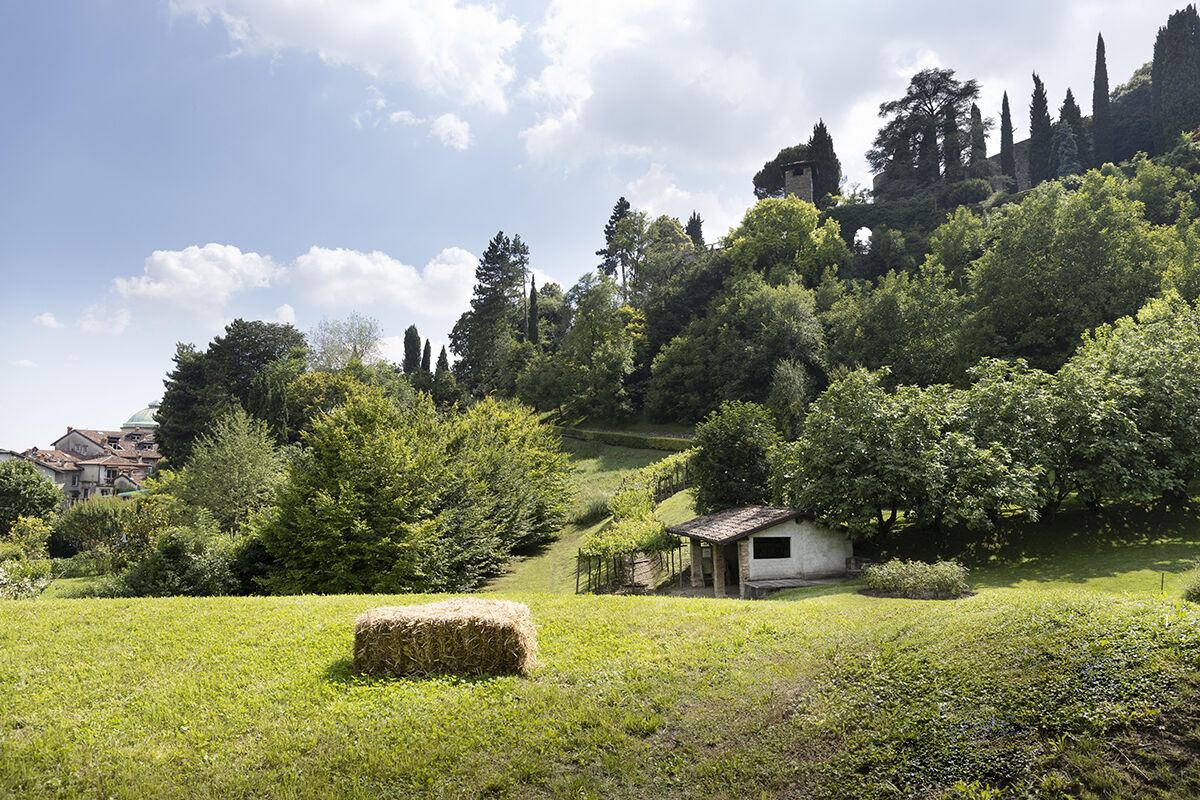 Lorenzo Cicconi Massi