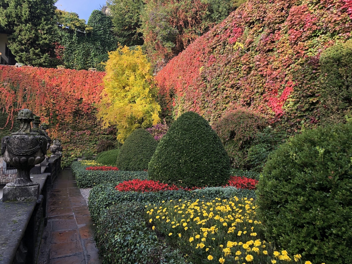 G. Buttazzoni, Archivio Fondo Ambiente Italiano