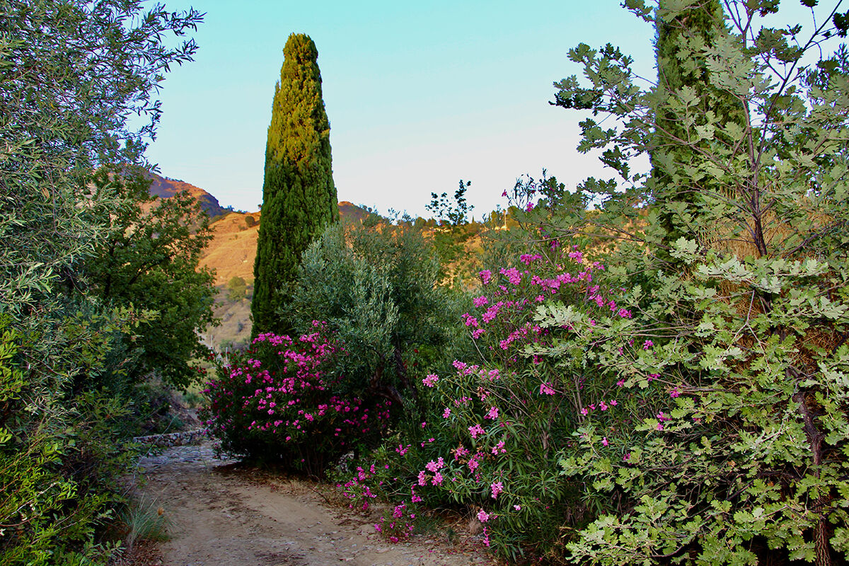  Archivio Grandi Giardini Italiani