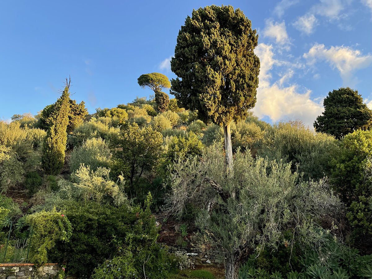  Archivio Grandi Giardini Italiani