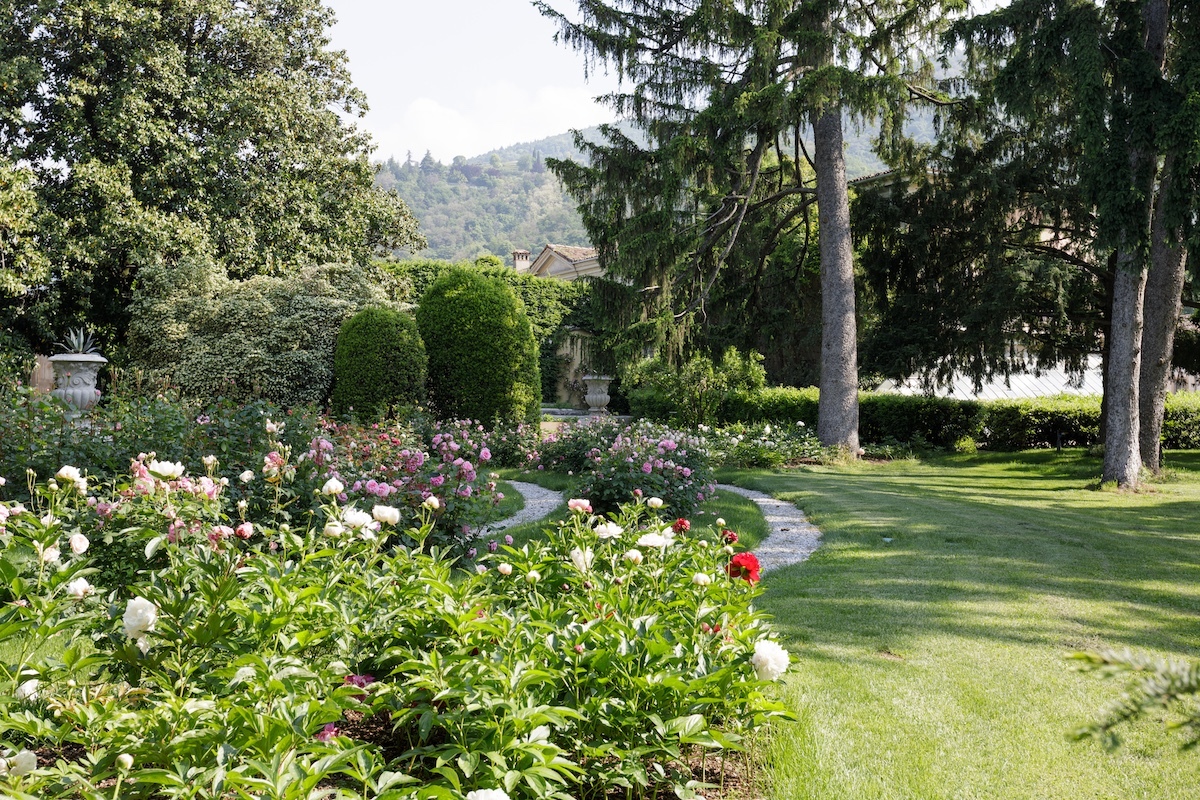 Fondazione Domani l'Aurora - Camillo Togni