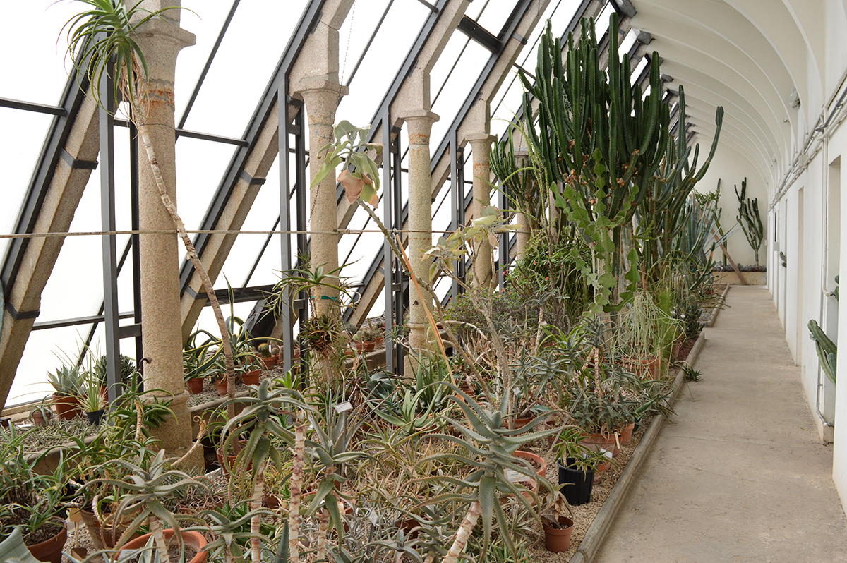 Orto Botanico di Pavia