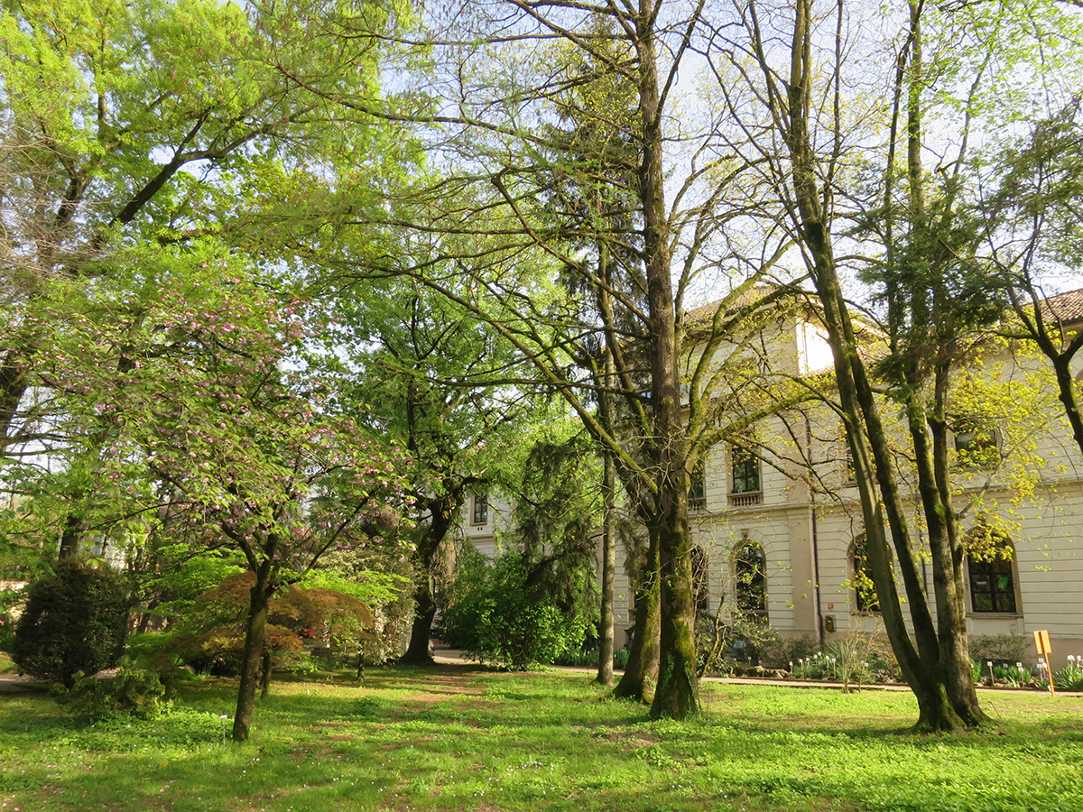 Orto Botanico di Pavia
