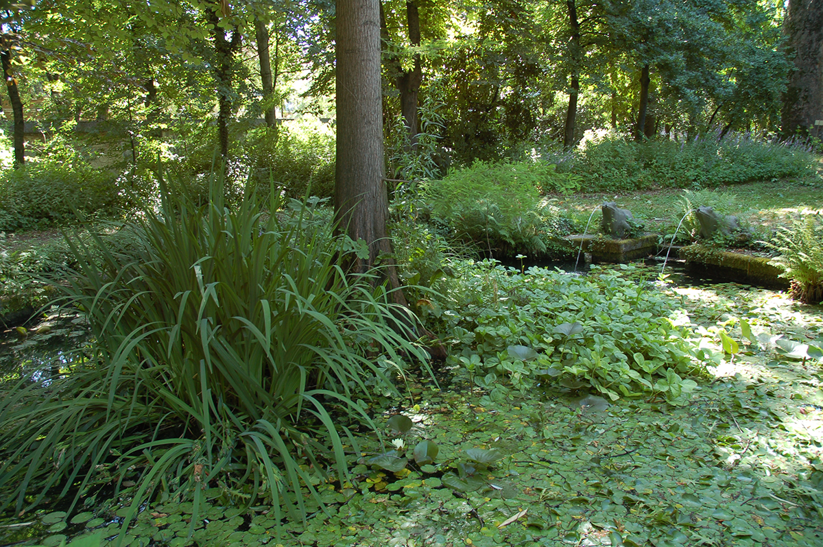 Orto Botanico di Pavia