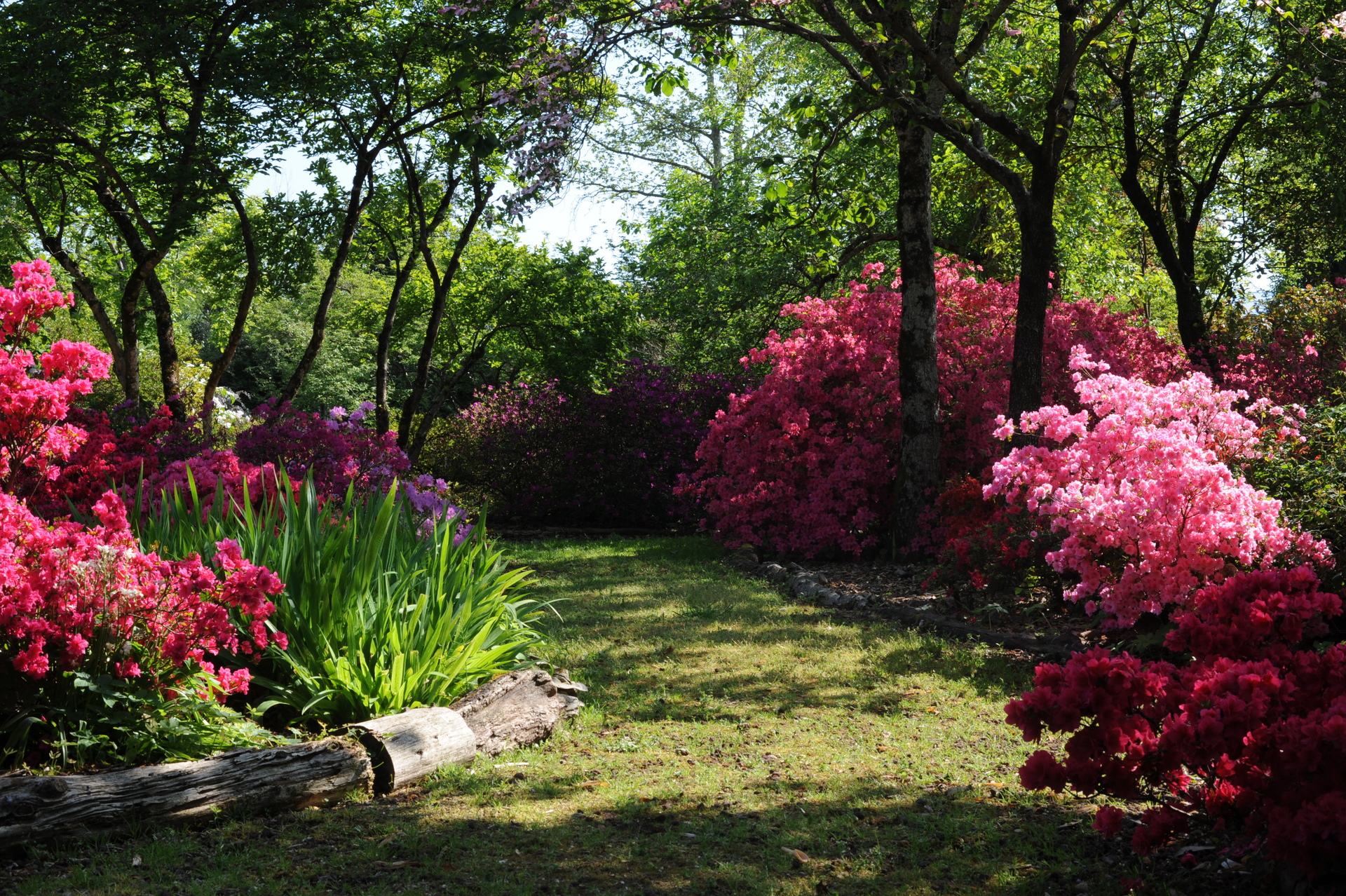 Giardino Viatori, Courtesy della propriet�