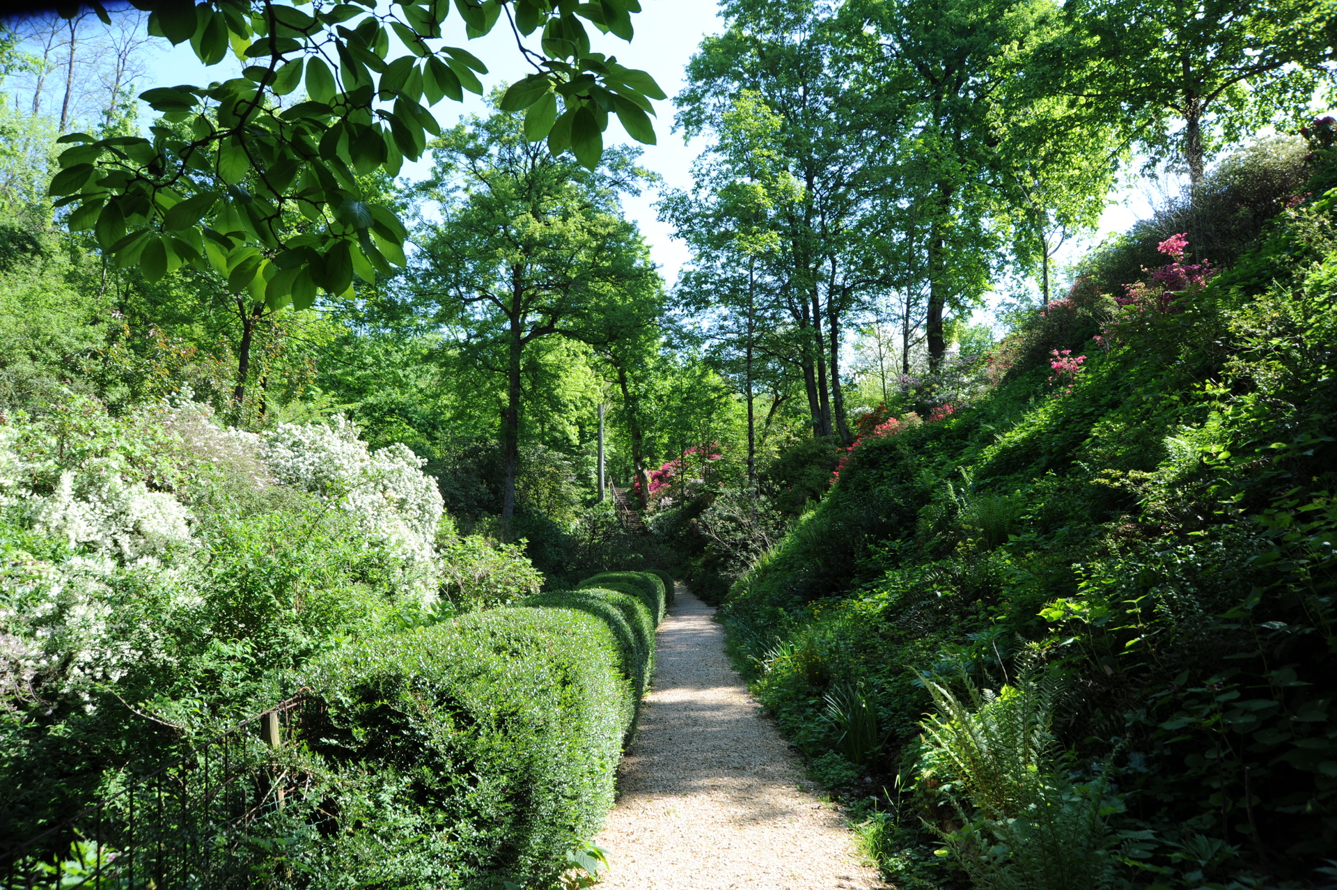 Giardino Viatori, Courtesy della propriet�